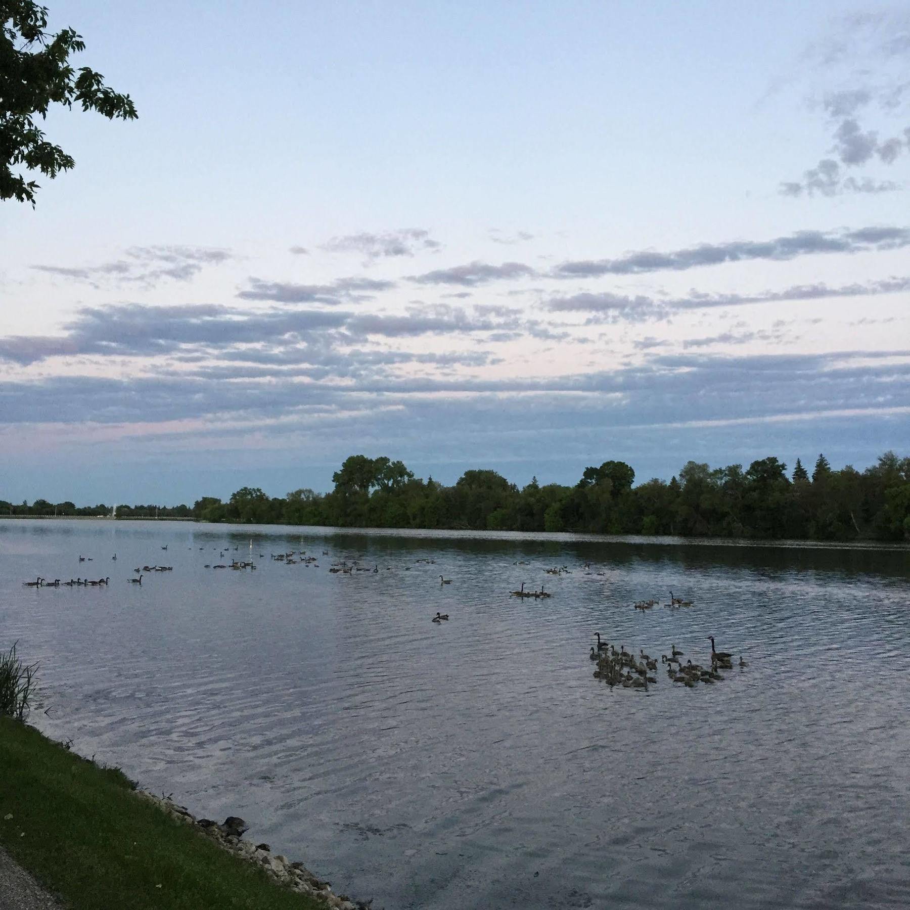 Yellow Quill Motel Portage la Prairie Luaran gambar